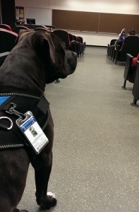 Facebook-20150329-063228