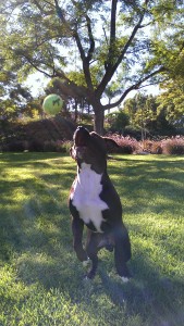 20120719_172835_Android 1